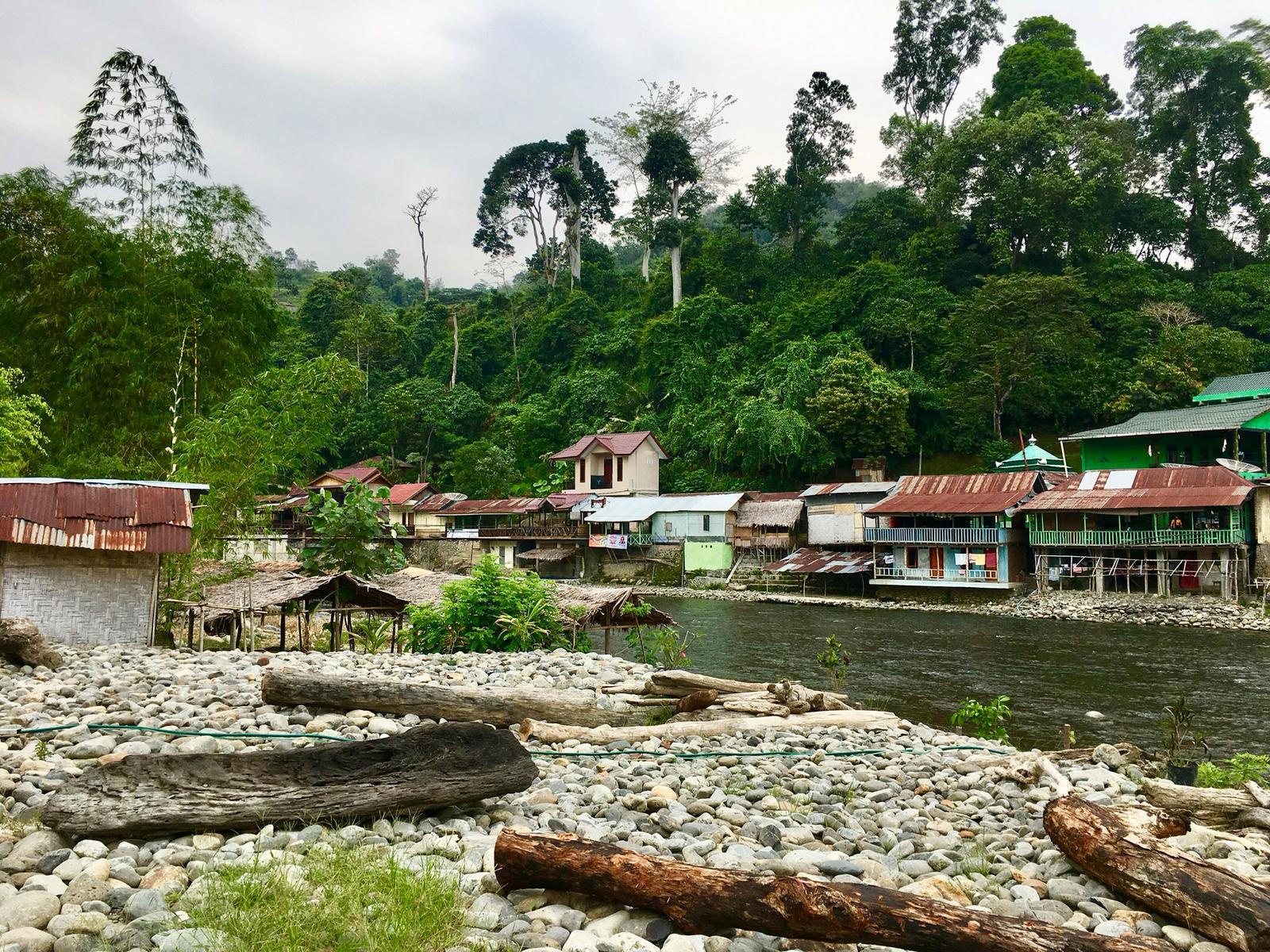 bukit_lawang_sumatra_4 - Discover Sumatra